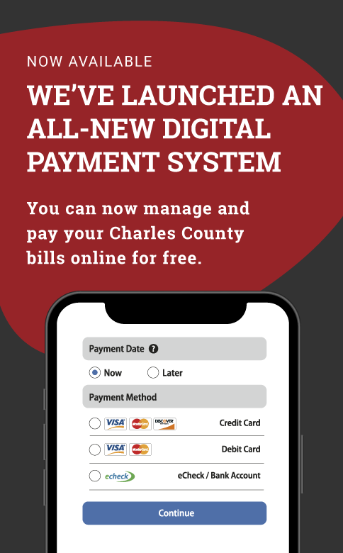 WSBillingWebAd_Vertical