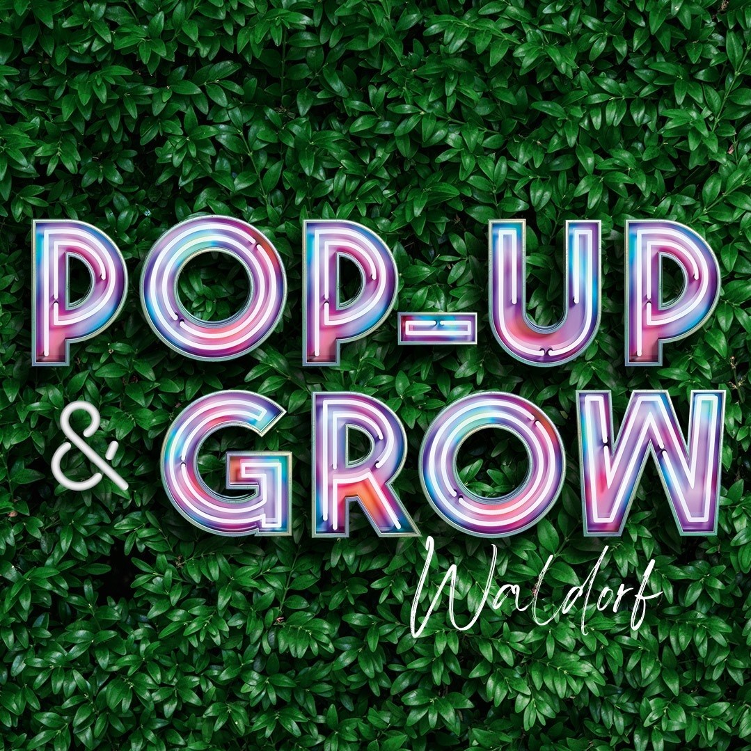 Pop Up and Grow Waldorf