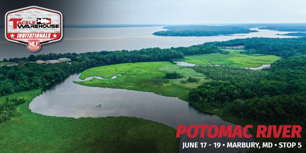 TWI_Previews_2023-05-1-1000x500