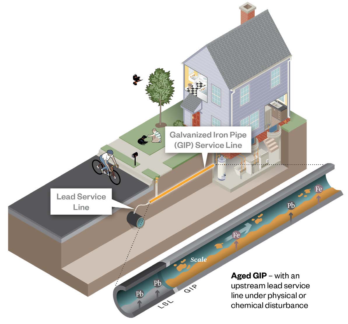 galvanized pipes diagram