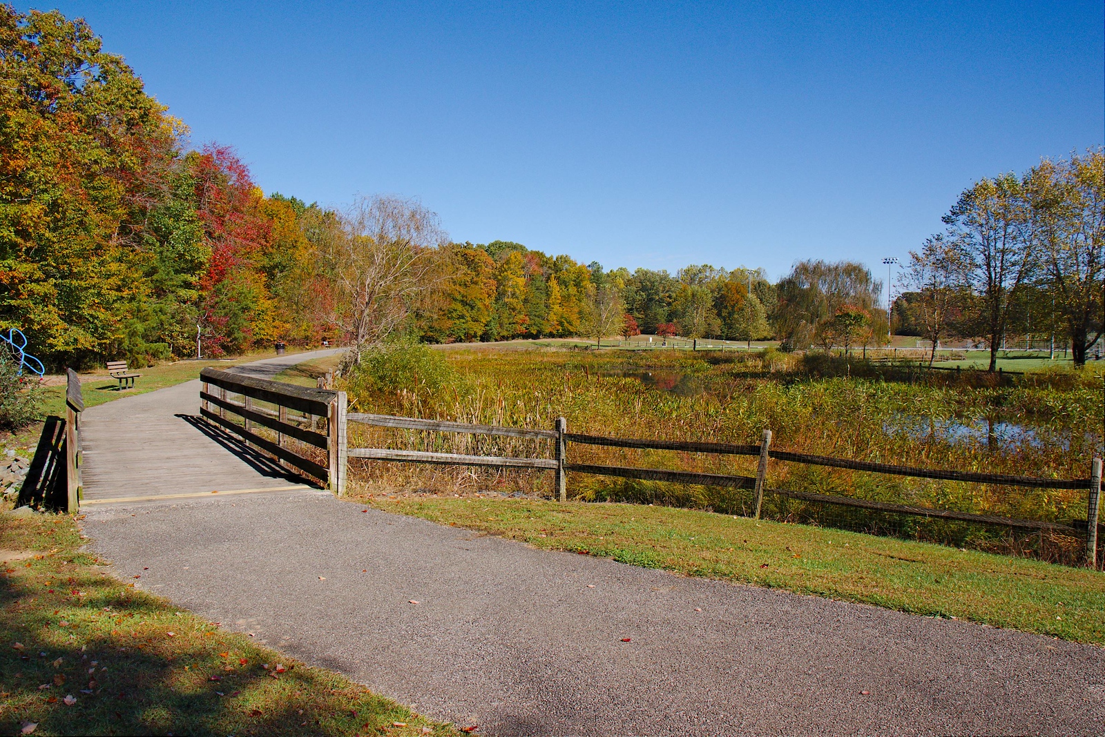 PisgahPark_10252023 (19)-X3
