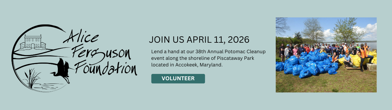 38th Annual Potomac Cleanup