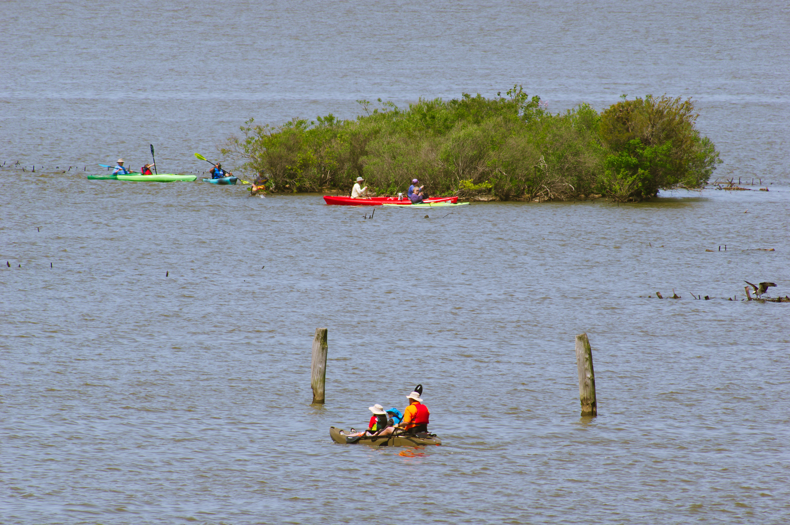 Kayakers at Mallows Bay