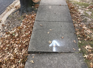 Sidewalk