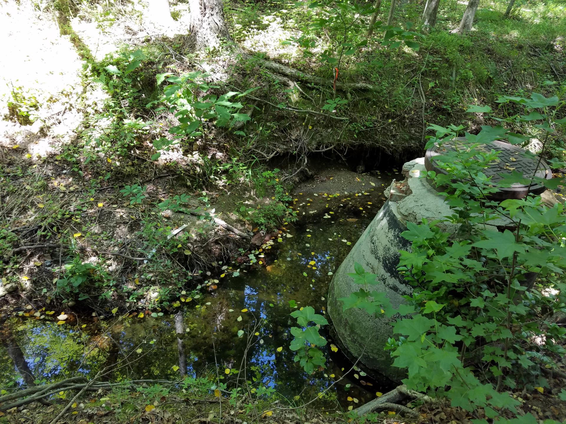 St. Charles Pkwy Stream Restore (01)