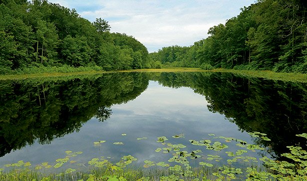 BH_cedarville-06122013