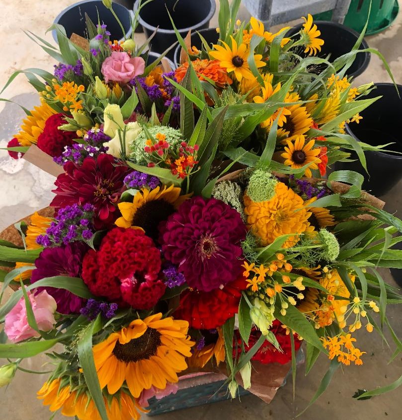 Biggs Family Produce