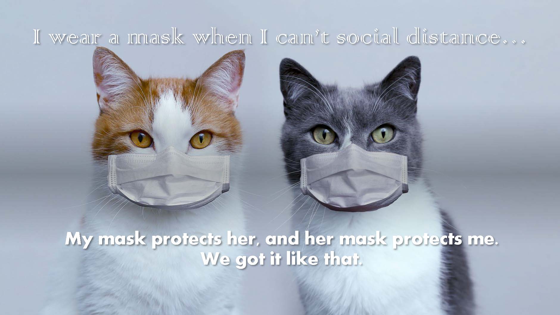 Wear a Mask PSA