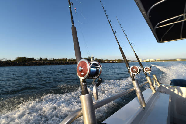 Charter Fishing rods