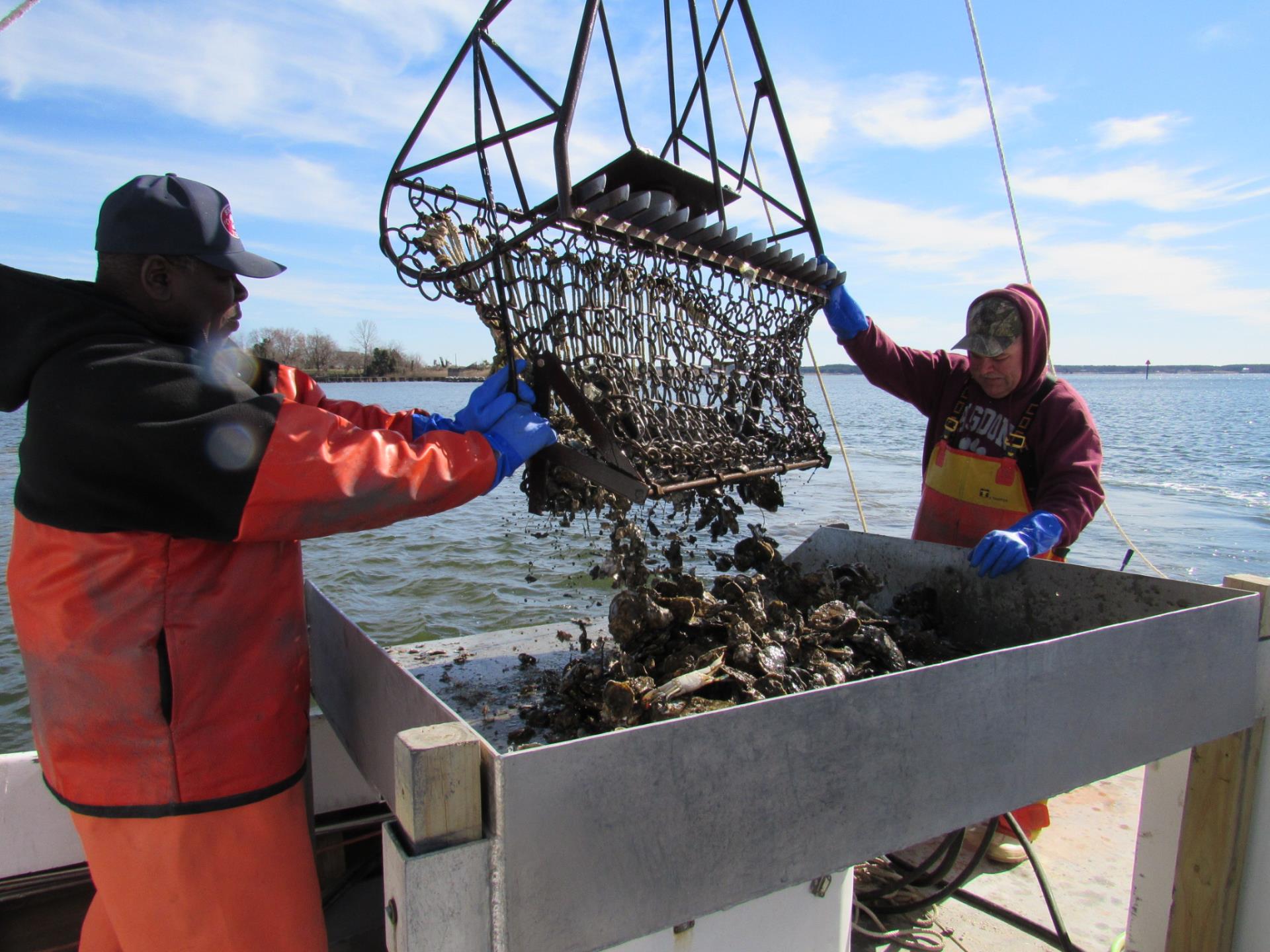 MD Crab and Oyster Trail